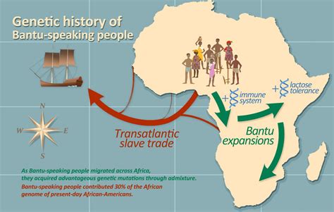 13世紀南アフリカにおける「クワズール・ナタール王朝の台頭」：バントゥー系民族の移動と金鉱の発見がもたらす新たな時代