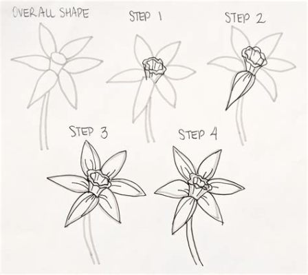 如何画一朵花给初学者