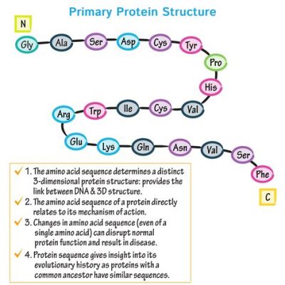 If the primary structure of a protein is changed, does it mean the universe is rewriting its own code?