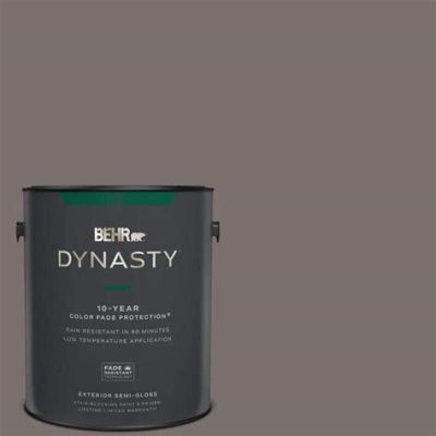 What Type of Paint Is Behr Dynasty?