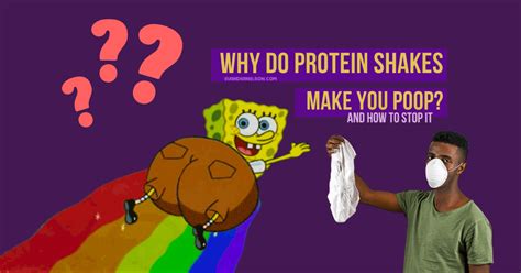 Will Protein Shakes Make You Poop? And Other Digestive Mysteries Unveiled